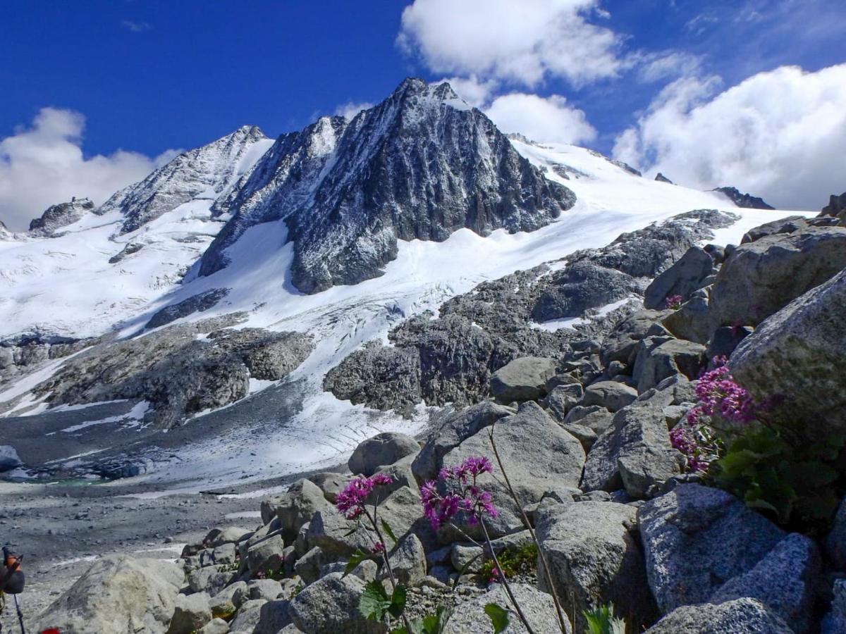 Alpencolor Hotel Tonale باسو ديل تونالي المظهر الخارجي الصورة