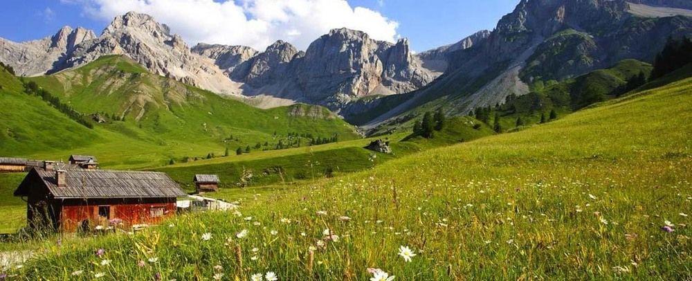 Alpencolor Hotel Tonale باسو ديل تونالي المظهر الخارجي الصورة